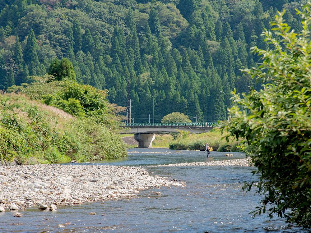 丹生川は滋賀県下有数の鮎釣りスポット